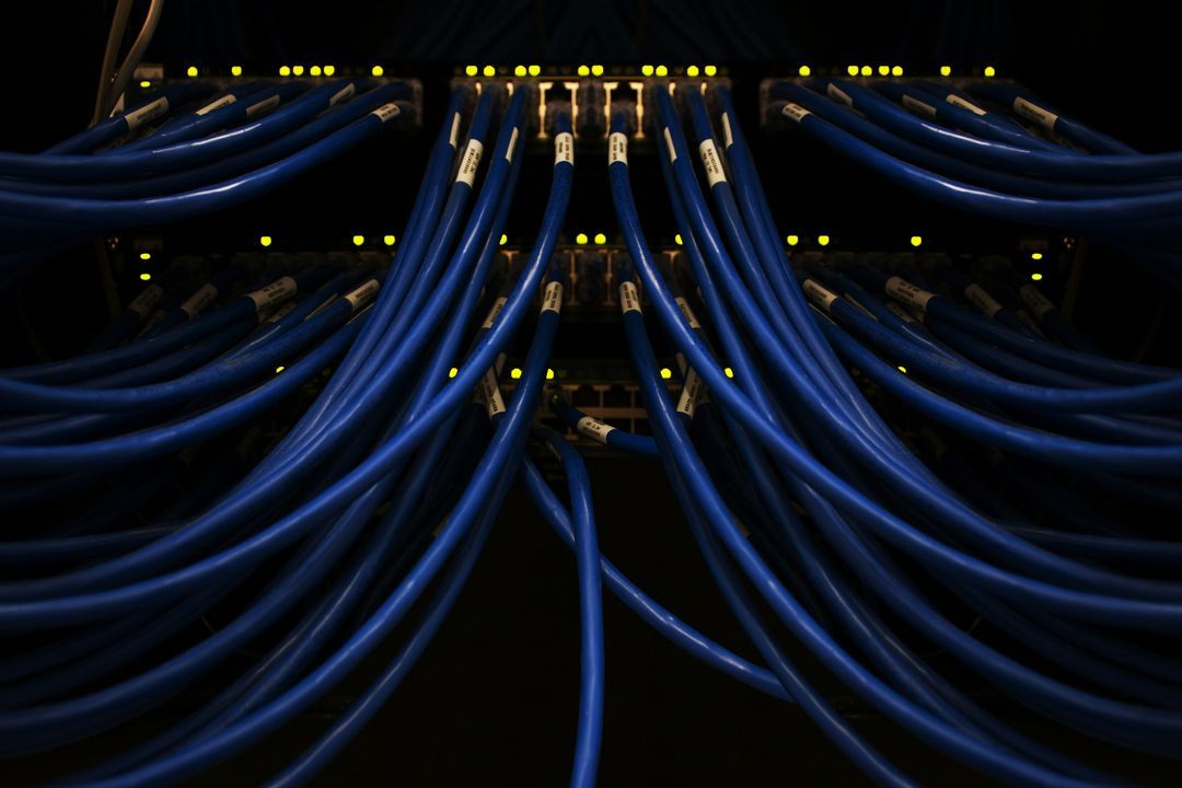 Blue Ethernet cables patched into a network switch with lit status LEDs